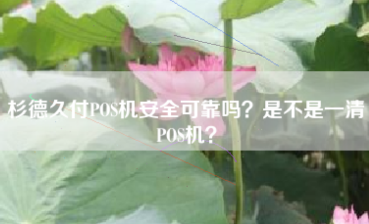 杉德支付POS機(jī)是一清機(jī)嗎（杉德支付POS機(jī)的安全性如何）